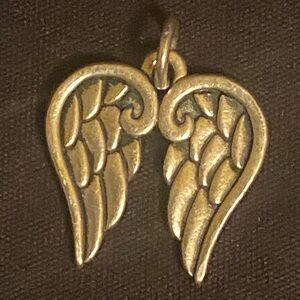 James Avery Wings Charm Sterling Silver $59 Retail Uncut Loop